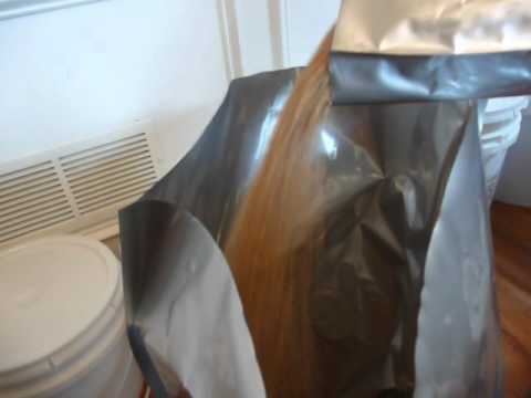 download lagu mp3 mp4 Prairie Gold Wheat Berries Bulk, download lagu Prairie Gold Wheat Berries Bulk gratis, unduh video klip Prairie Gold Wheat Berries Bulk