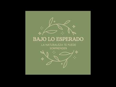 Podcast: Aluvión de la Quebrada de Macul 1993