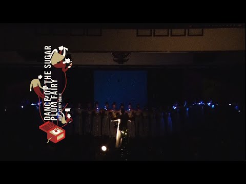 PSM UAJY - DANCE OF THE SUGAR PLUM FAIRY