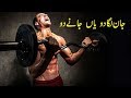 Work Harder And Harder Motivation Video In Urdu