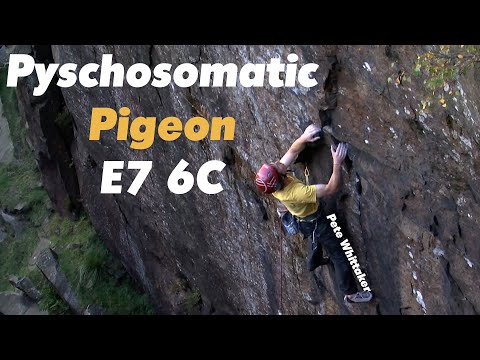 Pete Whittaker - Psychosomatic Pigeon E7 6C FA