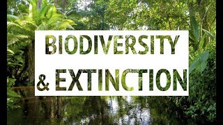 Biodiversity & Extinction