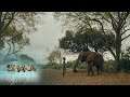 Face To Face With An Elephant Shaka ILembe S1 Ep 6 Mzansi Magic
