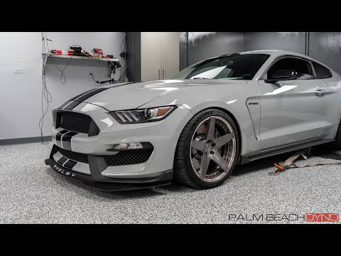 WHIPPLE SUPERCHARGED Shelby GT350 on Pump Gas! | How Much Will It Make??