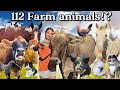 We Have 100 ANIMALS On Our FARM ULTIMATE FARM TOUR