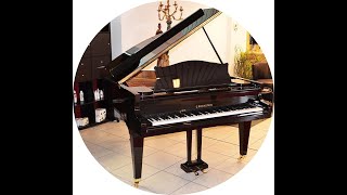 Klangausnahme C Bechstein Modell L 167 in schwarz Hochglanz