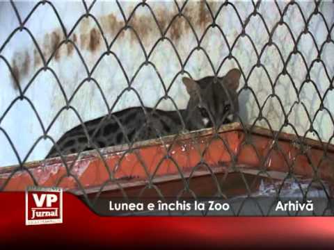 Lunea e închis la Zoo