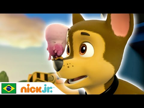 Capa de Patrulha Canina | Hora dos filhotes! - parte 3 | Nick Jr. em Português