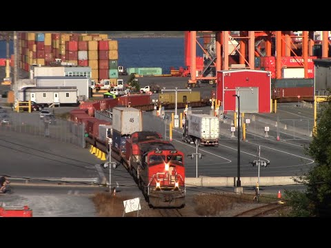 Halifax Local Train CN 519 Shoving Intermodal Containers into PSA Halifax Terminal