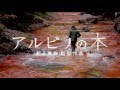 映画『アルビノの木』劇場予告　A Masakazu Kaneko film "THE ALBINO