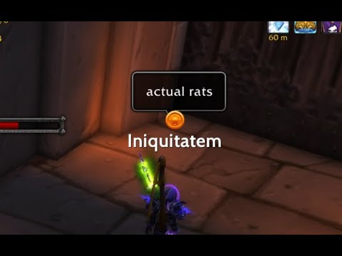 When the shadow priest in your lobby is 0-5 and depressed - Dragonflight rated solo shuffle pvp