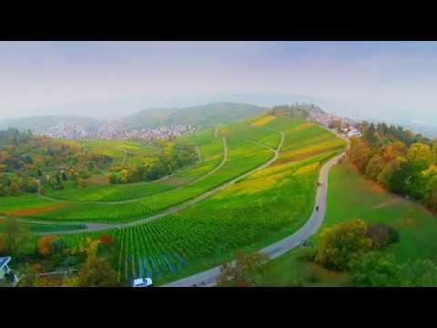 Stuttgart-Uhlbach/Rotenberg  -  AUTUMN  COLORS  -  Teaser