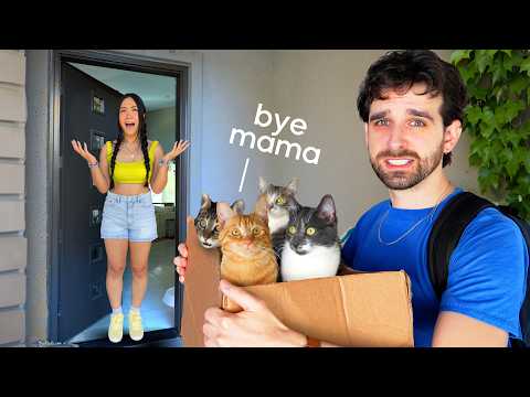 I'm Moving Out... and Taking OUR CATS (sad...)