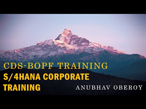 Corporate Training on S 4HANA CDS Views AMDP BOPF RAP OData BAS Fiori UI5 Security SAC BTP