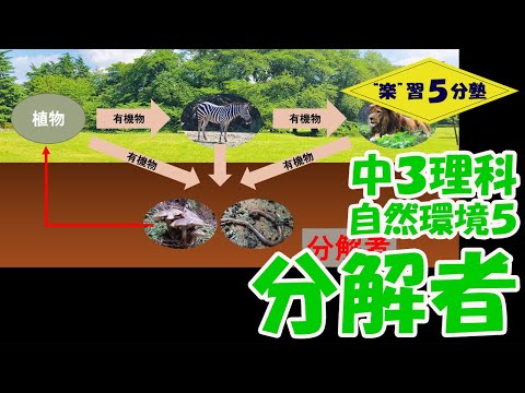 分解者について詳しく解説