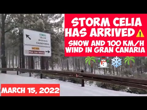 Gran Canaria☃️SNOW AND STORM HAS ARRIVED TO THE ISLAND- 100KM /H WIND - MARCH 15-2022