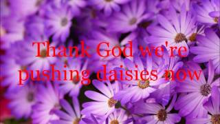 Pushing Daisies - Shannon Taylor - Lyrics