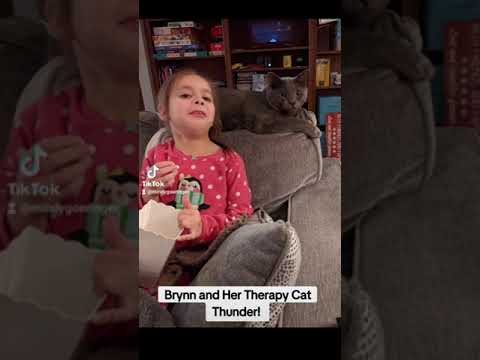 Brynn And Her Therapy Cat Thunder!