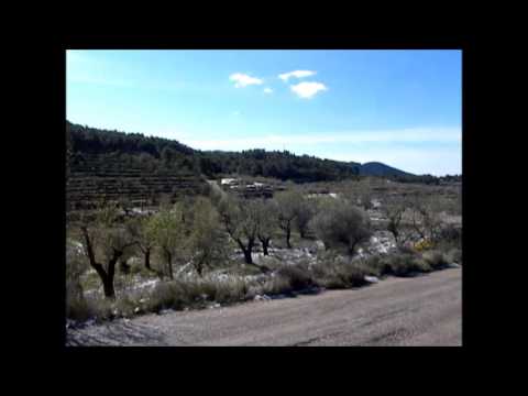 I Test Torremanzanas