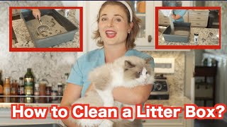 How to clean a litter box | Odor Free Product! - Veterinary Approved