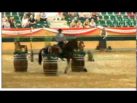 Miguel Fonseca & Aroma World Championship 2014, Working Equitation (Maneability Test)