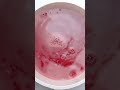 WATERMELON Mixed KIWI Ice Cream Yumupcakes