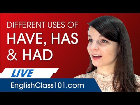 Using HAVE, HAS and HAD Correctly in English - Basic English Grammar