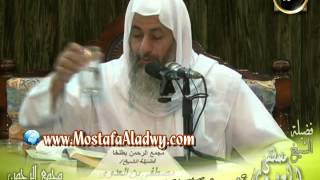 تفسير سورة الرحمن (3) من الآية السابعة والثلاثين إلى نهاية السورة