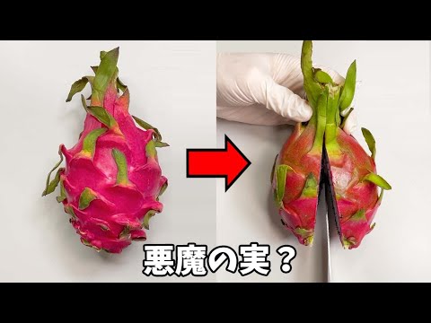 ドラゴンフルーツ、ピタハヤ 植物