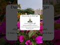 Dua to say in Danger
