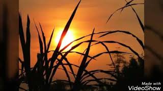 Download lagu Status WA bikin baper (asal kau bahagia) mp3