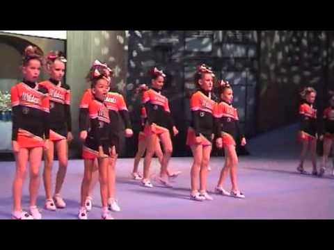 Little Wildcats ELITE 2012