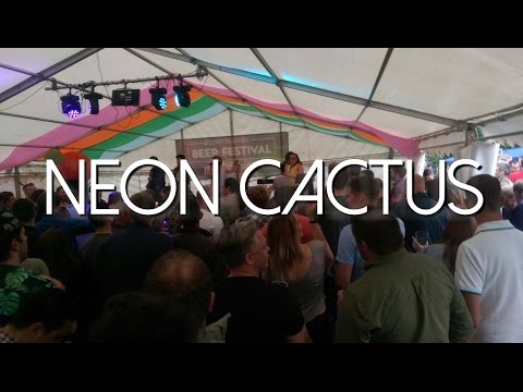 Neon Cactus - Live @ Mad Ferret || 10 Sep 2016