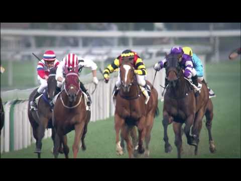 [Premier Bowl 2016] Lucky Bubbles feature