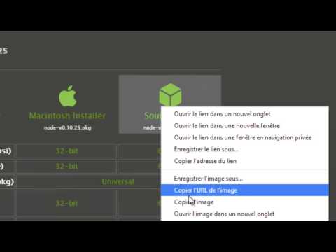 Node JS 2 Installation de NodeJS sous Windows Linux et Mac OS