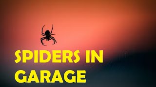 how to get rid of spiders in garage