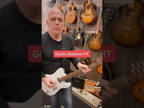 Godin Stadium 2000s - Matte Black image 6