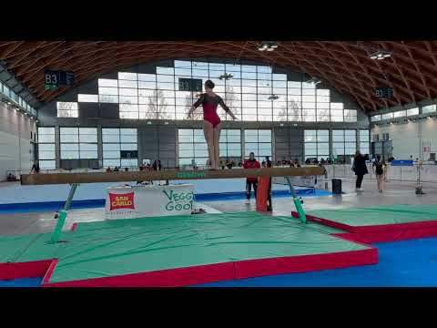 Silver LE3 Base J2 Winter Edition 2024 Ginnastica Artistica ilmiky