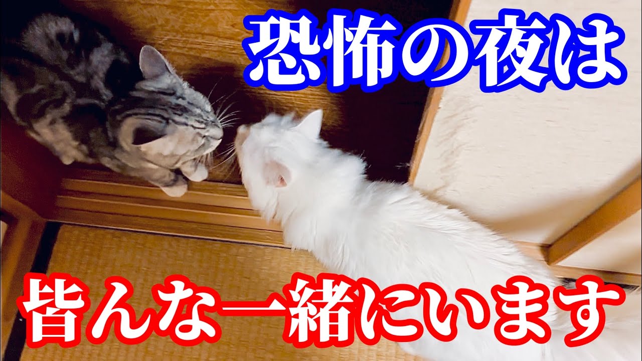 皆さん！これって怖くないですか？