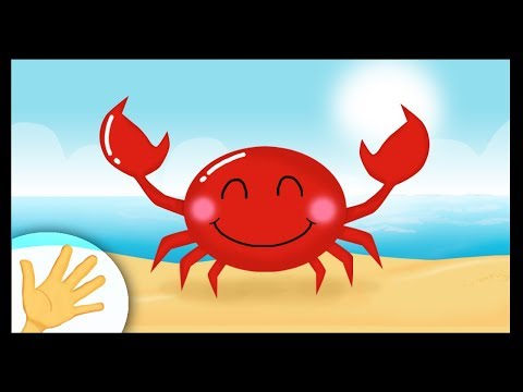 La Comptinette Du Crabe Petites Comptines A Gestes Pour Bebes Titounis La Comptinette Du Crabe Petites Comptines A Gestes Pour Bebes Titounis