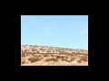 Walt Disney Pictures Pixar Animation Studios 2006 Full Screen Closing Cars