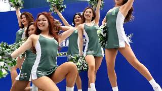 エレガンスチアリーダー ハマフェス164 横浜エクセレンス チアリーダーズ Elegance①