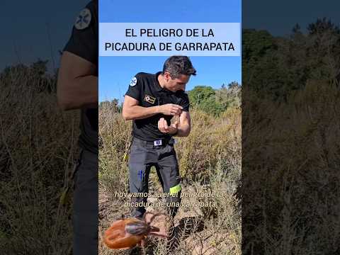 The danger of tick bites. #emergencies #survival #trivia