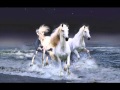 Caballo Mistico (Silvio Rodriguez)