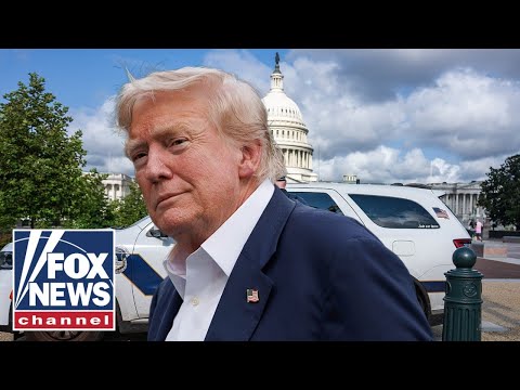 Trump’s DC police takeover may be a ‘temporary fix,’ DC police union chairman warns