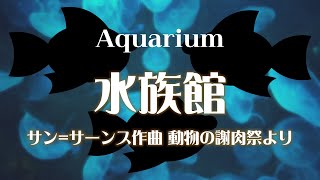 Download lagu サン=サーンス 組曲「動物の謝肉祭」より 《水族館》 mp3