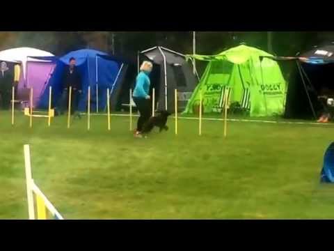 Gerda, hoppklass 1, 17/10 2015.