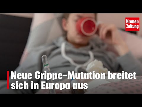 Neue Grippe-Mutation breitet sich in Europa aus | krone.tv NEWS