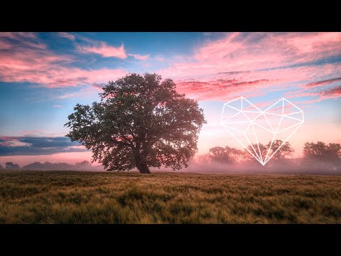 Double Touch - Woolfie (Original Mix) [Downtempo / TRYBESof]