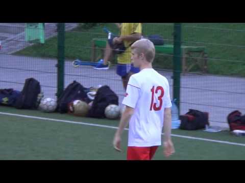 7 КХ 11 Sigma Software   Angry Bees